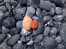 Unity and Uniqueness - Part 1